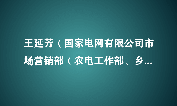 王延芳（国家电网有限公司市场营销部（农电工作部、乡村振兴办公室）副主任）