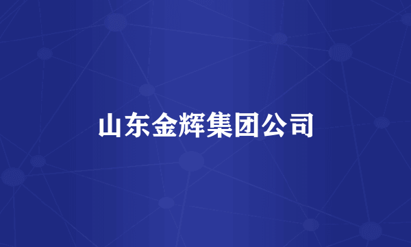 山东金辉集团公司