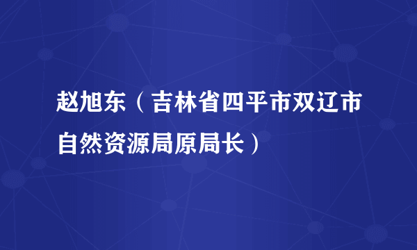 赵旭东（吉林省四平市双辽市自然资源局原局长）