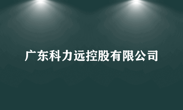 广东科力远控股有限公司