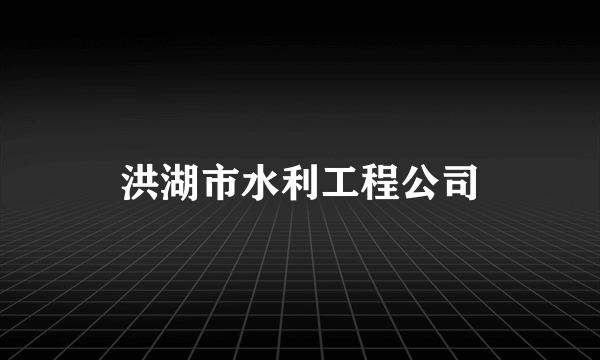 洪湖市水利工程公司