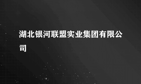 湖北银河联盟实业集团有限公司