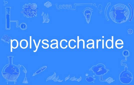 polysaccharide（英语单词）