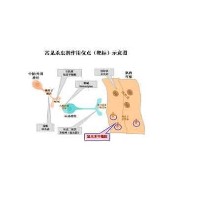 昆虫激素