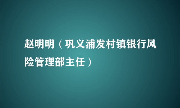 赵明明（巩义浦发村镇银行风险管理部主任）