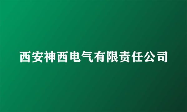 西安神西电气有限责任公司