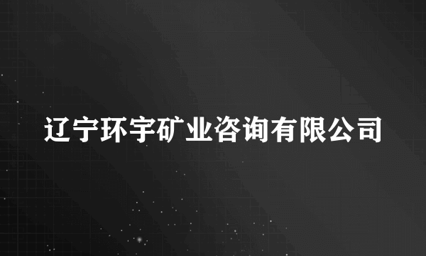 辽宁环宇矿业咨询有限公司