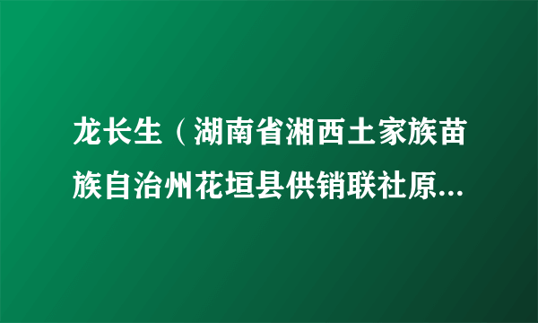 龙长生（湖南省湘西土家族苗族自治州花垣县供销联社原党组成员、理事会原副主任）