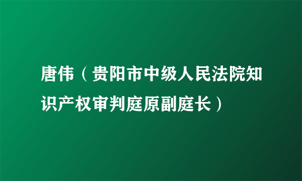 唐伟（贵阳市中级人民法院知识产权审判庭原副庭长）