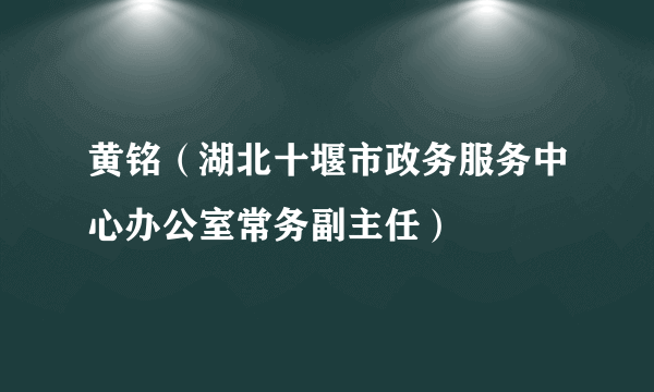 黄铭（湖北十堰市政务服务中心办公室常务副主任）