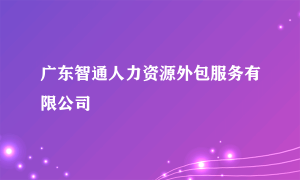 广东智通人力资源外包服务有限公司