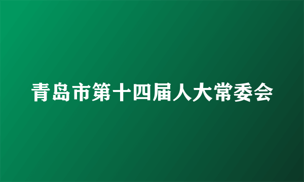 青岛市第十四届人大常委会