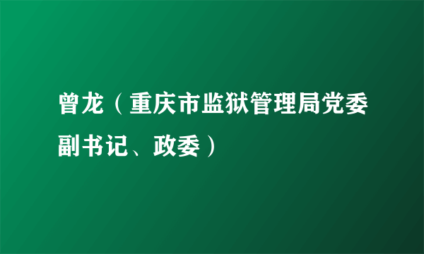 曾龙（重庆市监狱管理局党委副书记、政委）