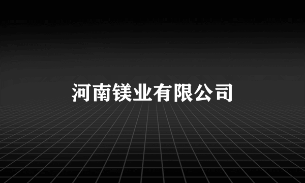 河南镁业有限公司