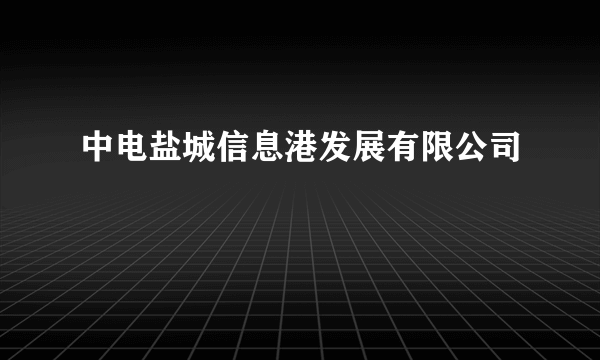 中电盐城信息港发展有限公司