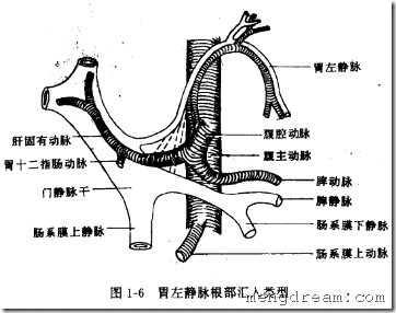 外科干