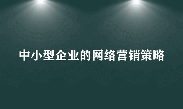 中小型企业的网络营销策略