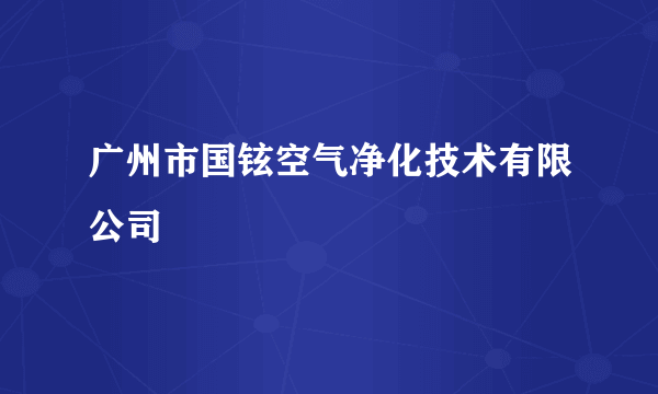 广州市国铉空气净化技术有限公司