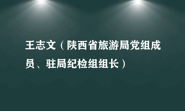 王志文（陕西省旅游局党组成员、驻局纪检组组长）