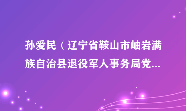 孙爱民（辽宁省鞍山市岫岩满族自治县退役军人事务局党组书记、局长）