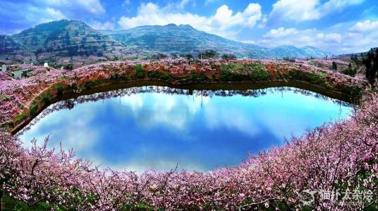 龙泉花果山