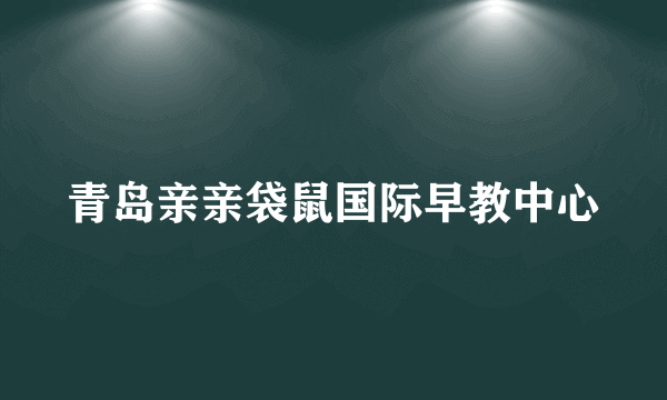 青岛亲亲袋鼠国际早教中心