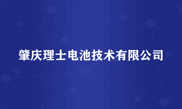 肇庆理士电池技术有限公司