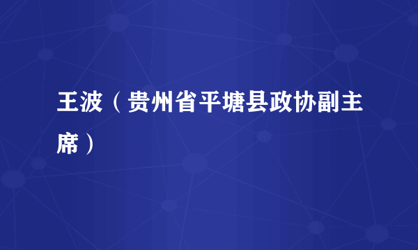 王波（贵州省平塘县政协副主席）