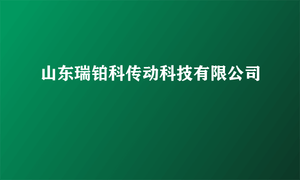 山东瑞铂科传动科技有限公司