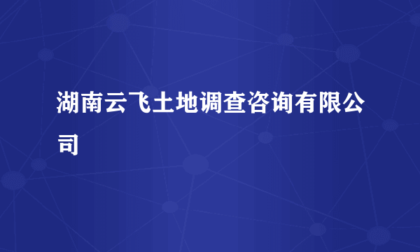 湖南云飞土地调查咨询有限公司