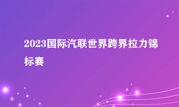 2023国际汽联世界跨界拉力锦标赛