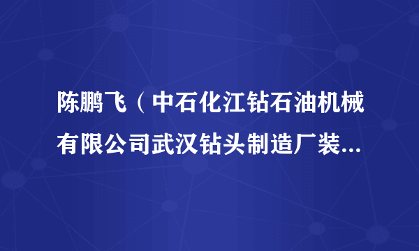 陈鹏飞（中石化江钻石油机械有限公司武汉钻头制造厂装配钳工）