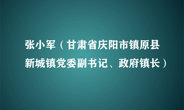 张小军（甘肃省庆阳市镇原县新城镇党委副书记、政府镇长）