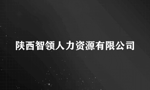 陕西智领人力资源有限公司