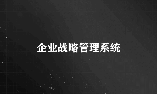 企业战略管理系统