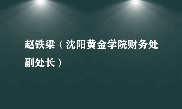 赵铁梁（沈阳黄金学院财务处副处长）