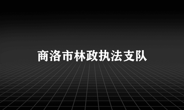 商洛市林政执法支队