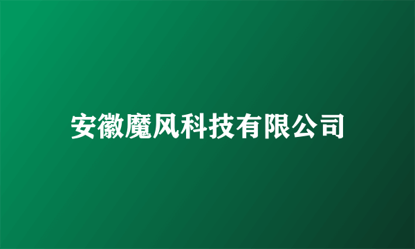 安徽魔风科技有限公司