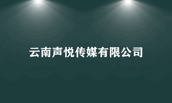 云南声悦传媒有限公司