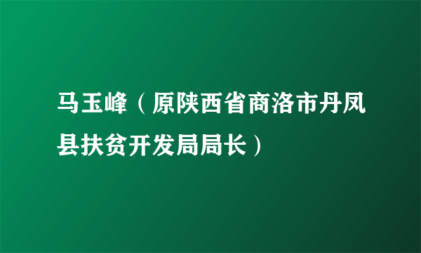 马玉峰（原陕西省商洛市丹凤县扶贫开发局局长）