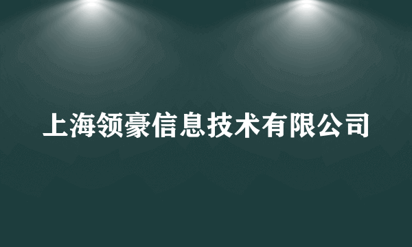 上海领豪信息技术有限公司