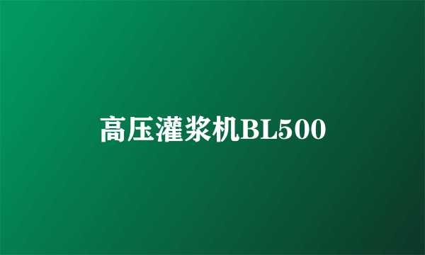 高压灌浆机BL500