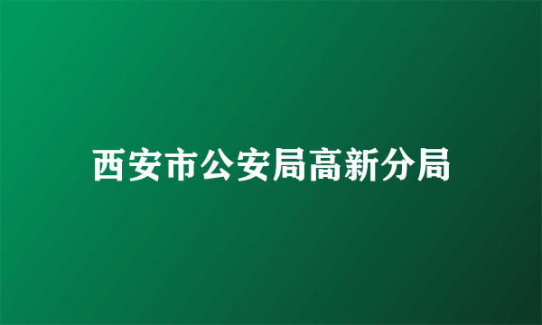 西安市公安局高新分局