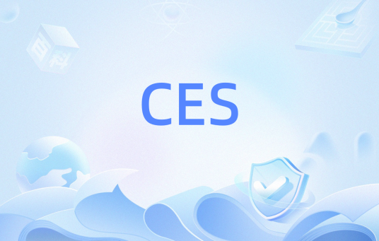 CES（电路仿真业务(Circuit Emulation Service)）