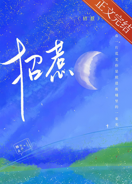 招惹（柚止创作的言情类网络小说）