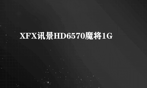 XFX讯景HD6570魔将1G