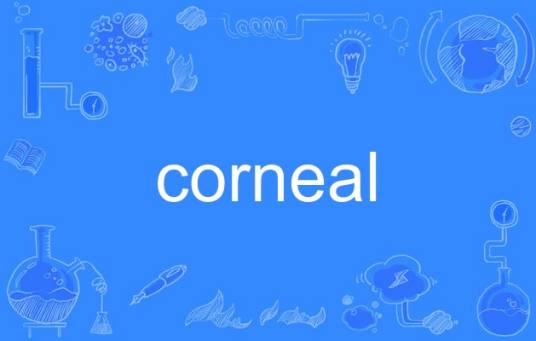 corneal