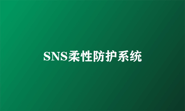 SNS柔性防护系统