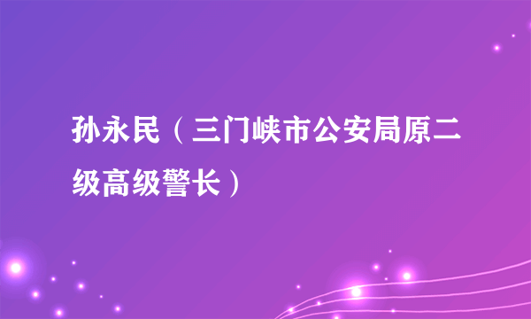 孙永民（三门峡市公安局原二级高级警长）