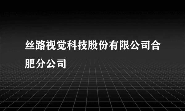 丝路视觉科技股份有限公司合肥分公司